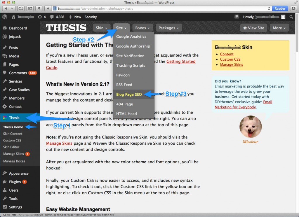 Thesis custom blog page