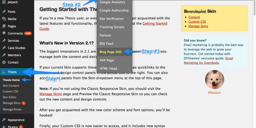 Thesis custom blog page