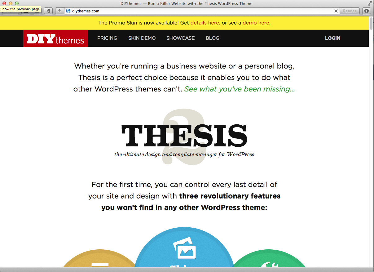 Thesis custom blog page