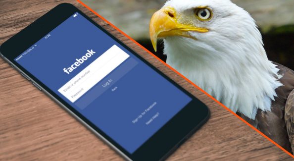 The Big Picture View of Facebook for Business