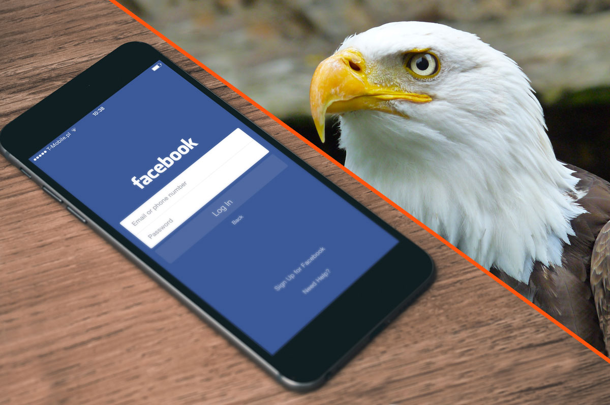 The Big Picture View of Facebook for Business